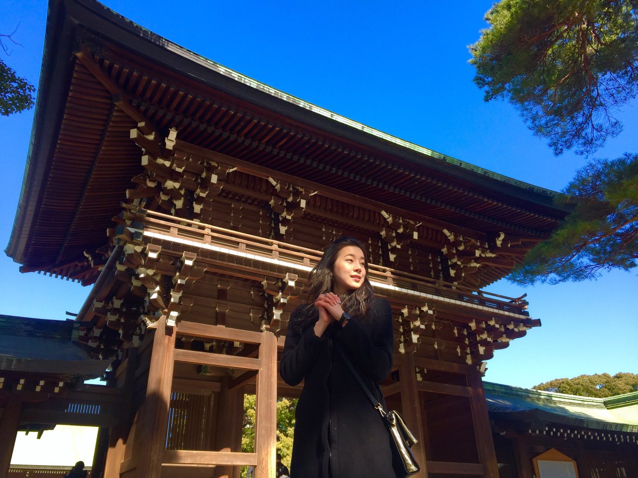 Professional photoshoot at Meiji Shrine and Yoyogi Park