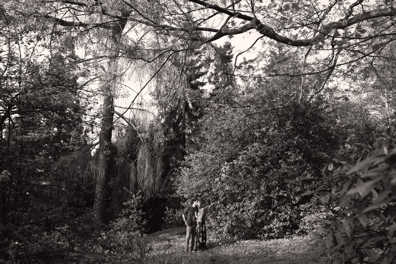 Anna Venezia