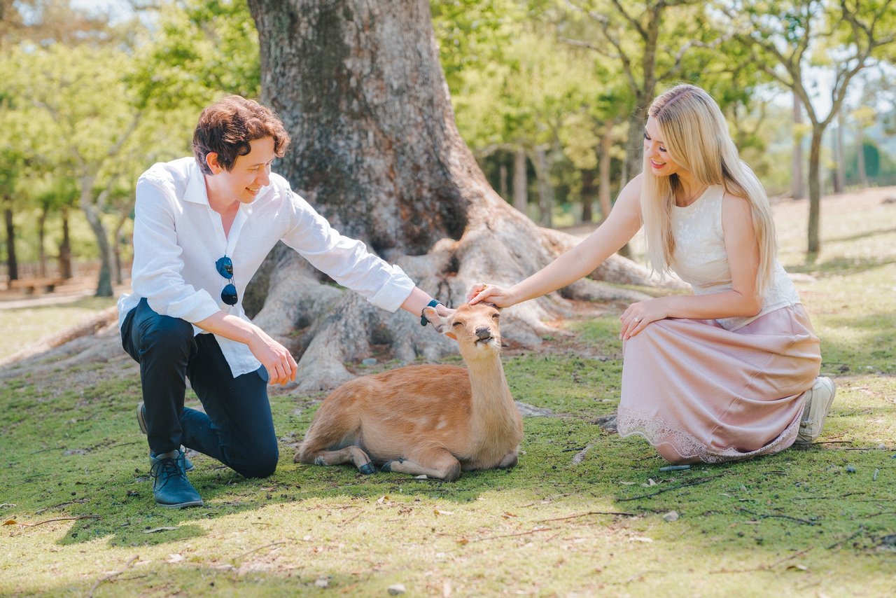 Romantic photoshoot at Nara Park — photo 1