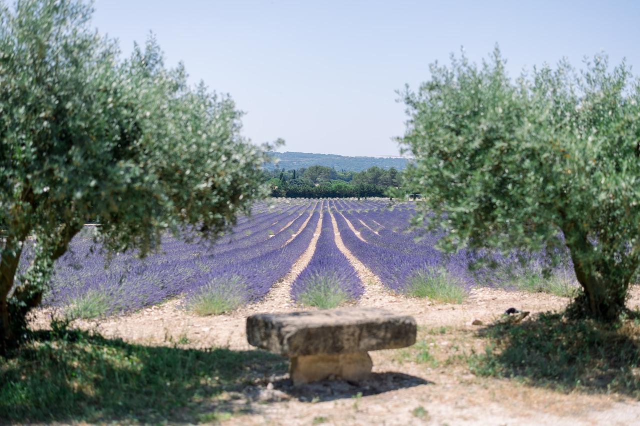 Photoshoot in Aix-en-Provence, France — professional photography location