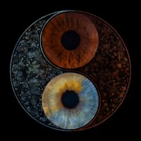 Iris photography