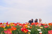 Family/Group Travel Photoshoot