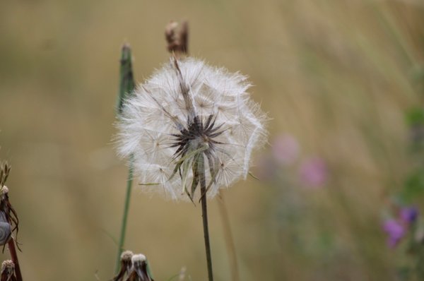 Photo by bookatie thompson — portfolio 4
