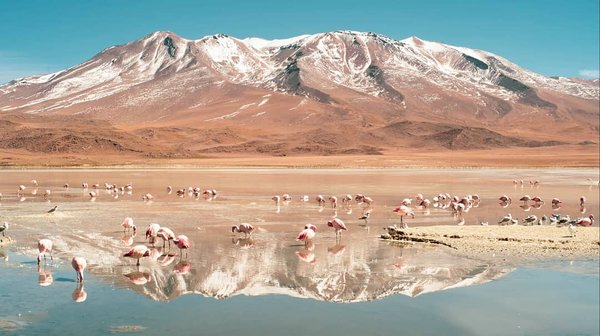 Javier Funez portfolio 3