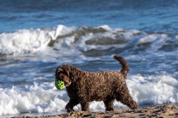 Beach PhoDographs portfolio 4