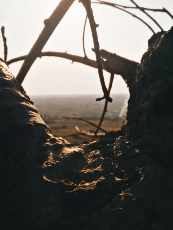 Photo by Trevor Khwalala — portfolio 5