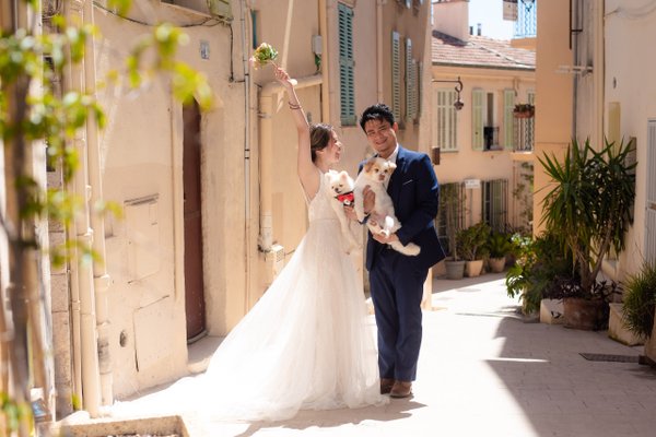 Bride and groom with white dog in sunny old town alley, holding greenery, classic European architecture