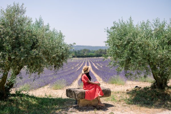 Lavender fields, Aix-en-Provence — photo 5