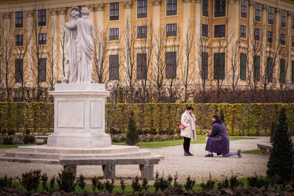 Romantic photoshoot in Vienna — photo 1