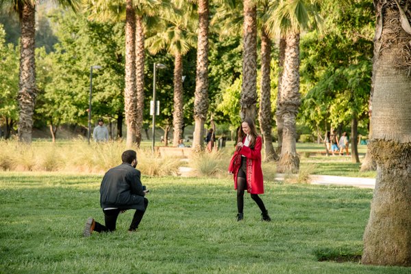 Couple poses together in grassy park lined with tall palm trees on a sunny day
