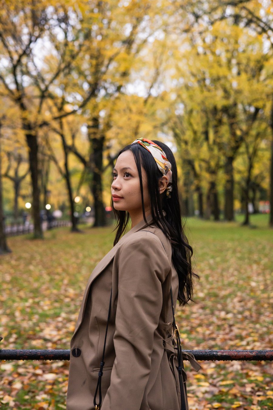 Professional photoshoot at Central Park photo 8