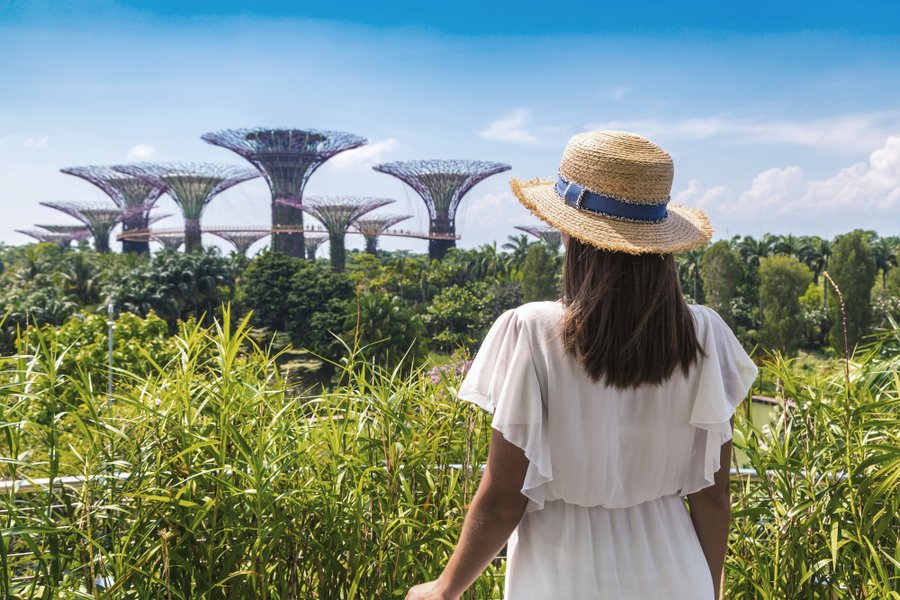 Professional photoshoot at Gardens by the Bay photo 6