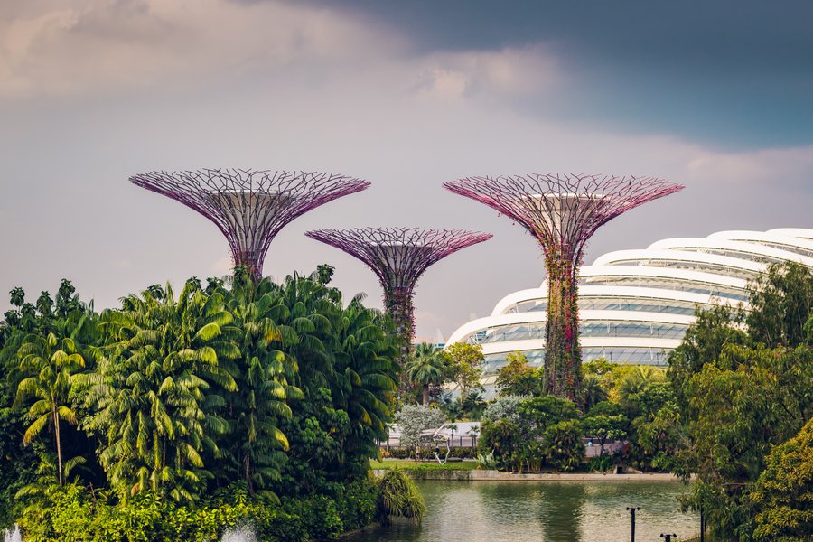 Professional photoshoot at Gardens by the Bay photo 8
