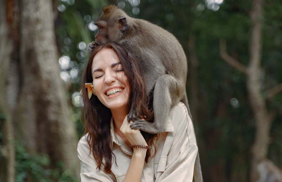 Professional photoshoot at Ubud Monkey Forest photo 1