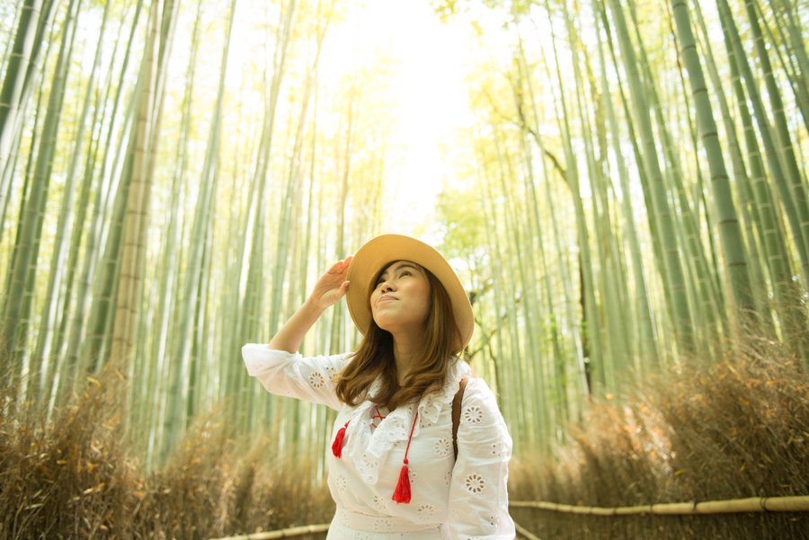 Professional photoshoot at Arashiyama Bamboo Forest photo 5