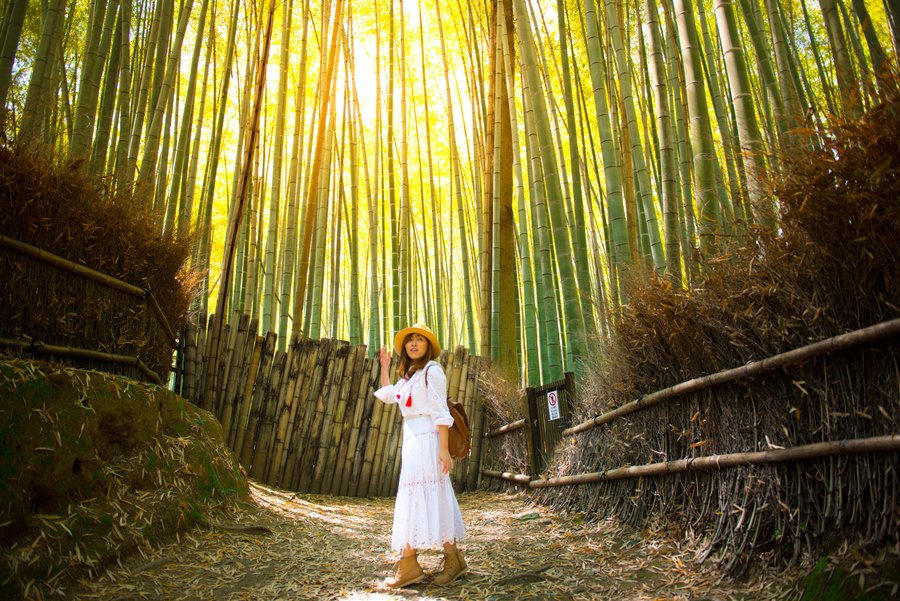 Professional photoshoot at Arashiyama Bamboo Forest photo 6