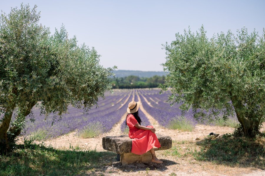 Lavender fields, Aix-en-Provence — photo 5
