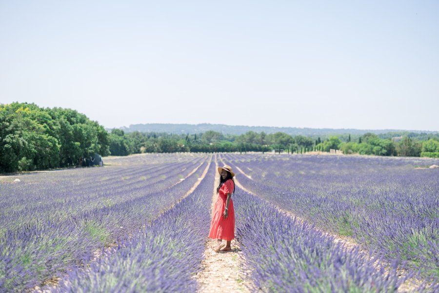 Lavender fields, Aix-en-Provence — photo 3