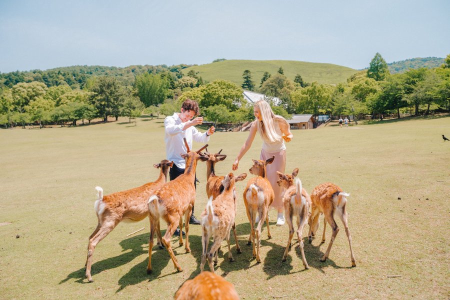 Romantic photoshoot at Nara Park — photo 2