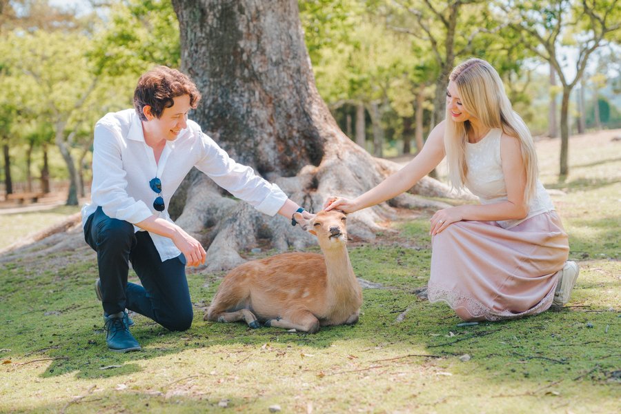 Romantic photoshoot at Nara Park — photo 1