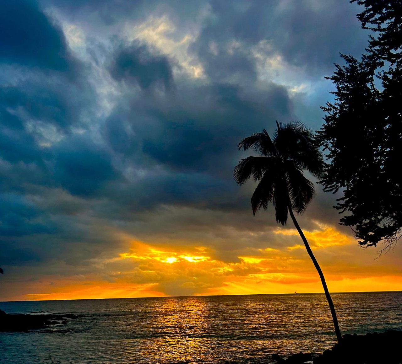 Photoshoot in Honolulu by Lori Palsrok
