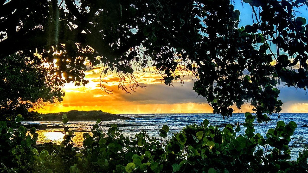 Photoshoot in Honolulu by Lori Palsrok